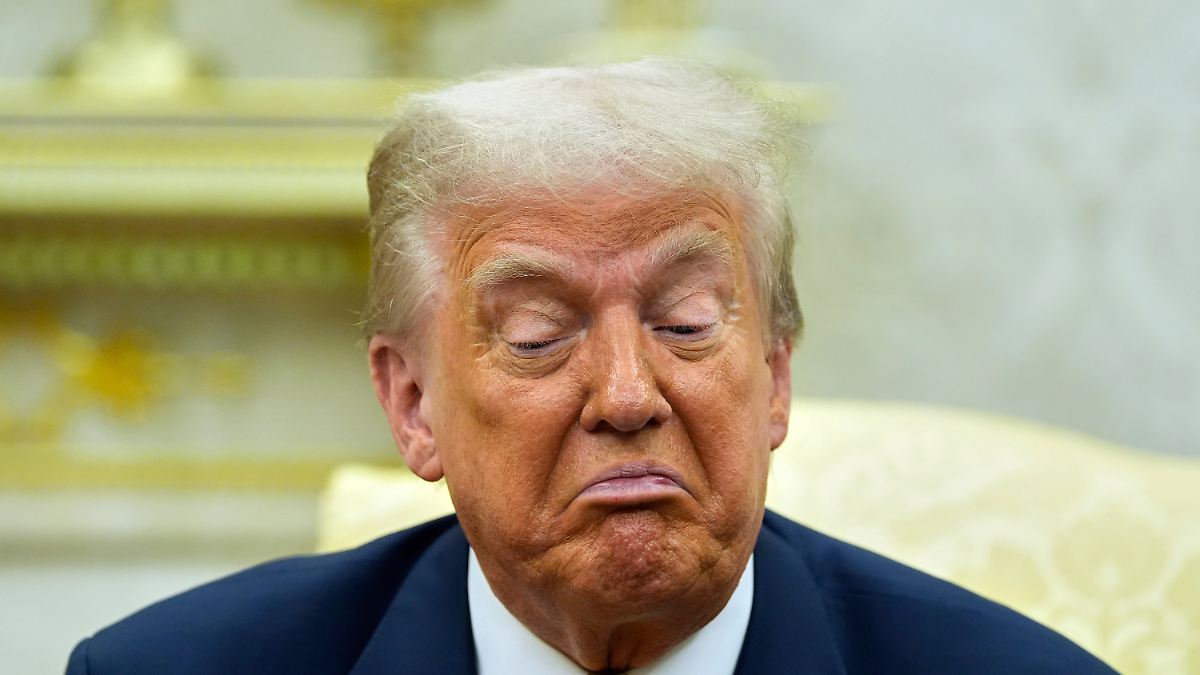 "Ausweispflicht für jede Stimme": Trump will Briefwahl per Dekret verbieten
