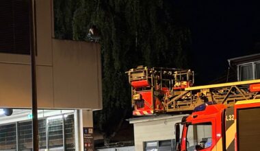 Polizeieinsatz in Berlin: Ladendieb flüchtet auf Dach von Supermarkt | Regional