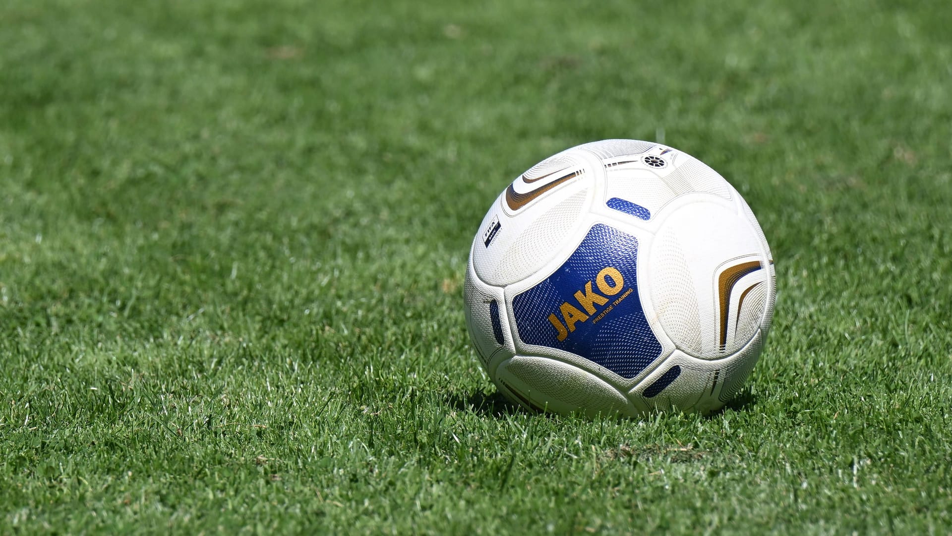 Ein Fußball liegt auf dem Rasen (Symbolbild): Eine Kreisliga-Partie endete in Gewalt.