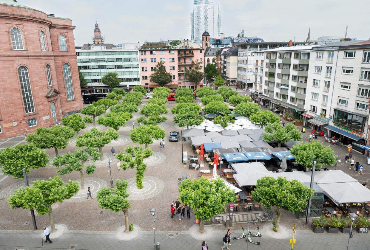 Ein Herz für Bäume:  Nur wenige Architekten schlagen vor, an der Südostecke des Paulsplatz (rechts) ein Gebäude für das Haus der Demokratie zu errichten.