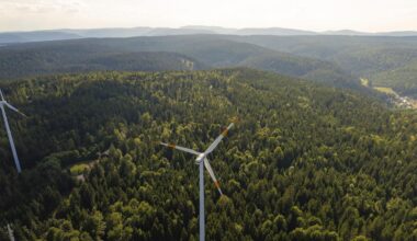 Symbolbild erneuerbare Energien: Ein Windrad inmitten eines weiten grünen Waldes unter einem blauen Himmel