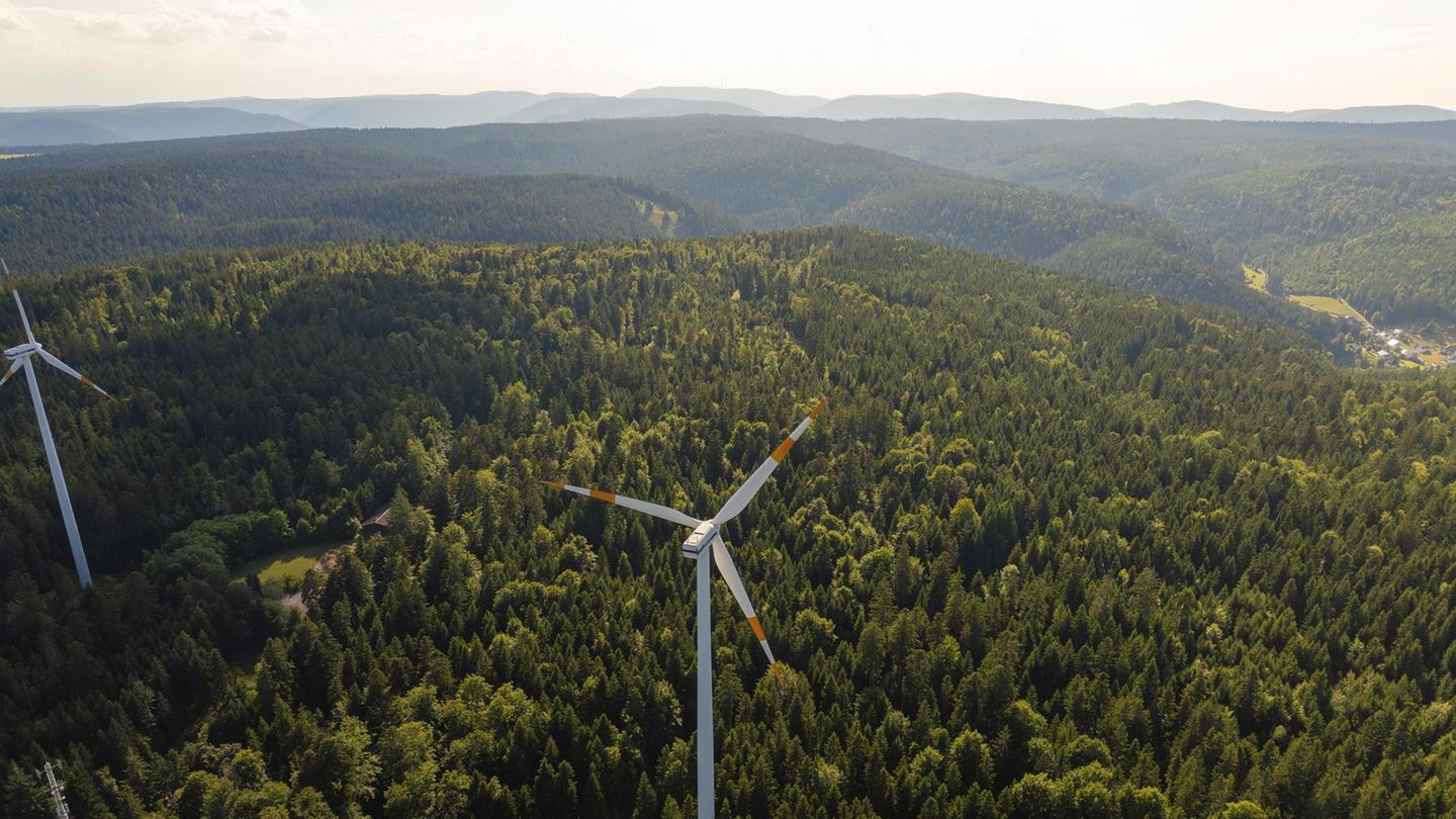 Symbolbild erneuerbare Energien: Ein Windrad inmitten eines weiten grünen Waldes unter einem blauen Himmel