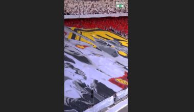 Wow, Stuttgart!: Gänsehaut-Choreo für Trikot-Tradition | Sport