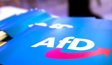 Umfrage: 68 Prozent rechnen 2026 mit AfD-Ministerpräsident