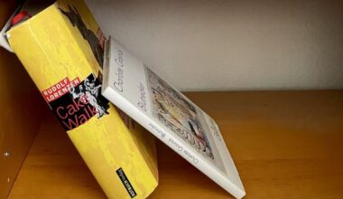 taz Talk "Lesekrise – Buchmarktkrise?": Wer liest noch Bücher?