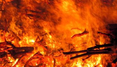 Waldbrände rund um Partnerstadt - Anteilnahme in Siegburg