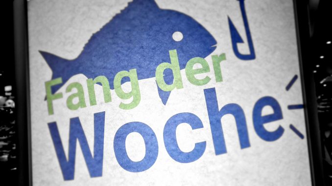 Fischfang