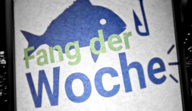 Fischerzeugung in Aquakulturen im Jahr 2024 gestiegen