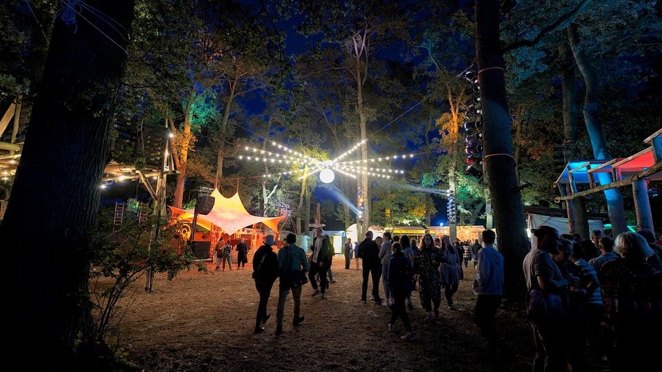 Sachsen-Anhalt: Die besten Festivals 2025 und 2026