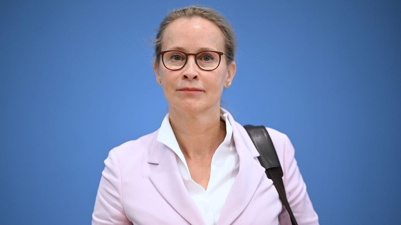 Brosius-Gersdorfs Anwälte bereiten rechtliche Schritte gegen „Plagiatsjäger“ Weber vor