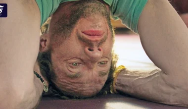 Argentinischer Film „La Práctica“: Yoga, Chaos und Tragikomik