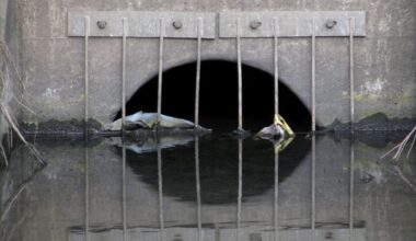 Großbritannien droht der Wasser-Kollaps – und die Quittung für Privatisierung
