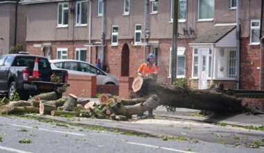 Ein Feuerwehrmann zerschneidet einen umgestürzten Baum in einer Straße mit Reihenhäusern.