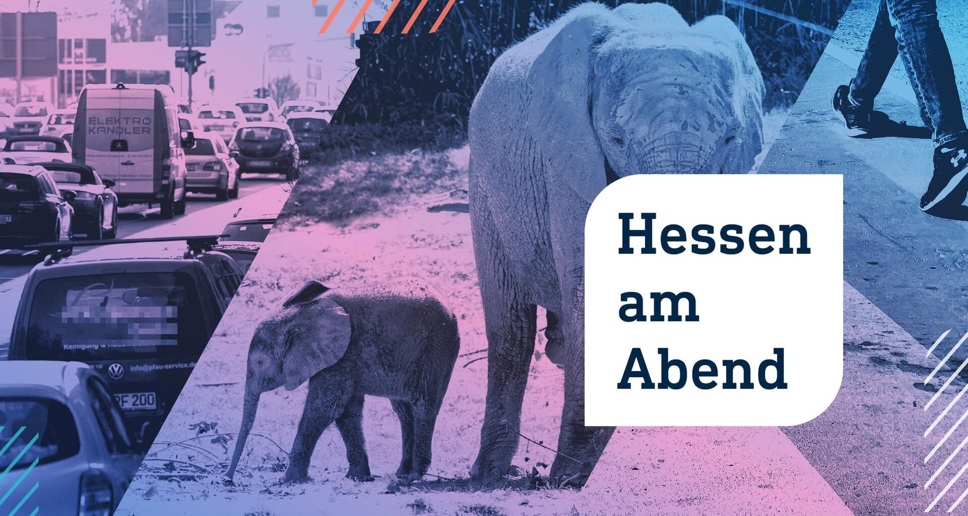 Hessen am Abend: Wiesbaden schmeißt den Motor an - wie sonst keiner | hessenschau.de