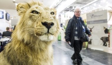 Umstrittenes Angebot auf Dortmunder Messe? Tierschützer sind entsetzt