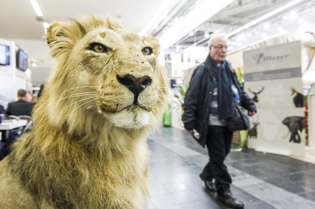 Umstrittenes Angebot auf Dortmunder Messe? Tierschützer sind entsetzt