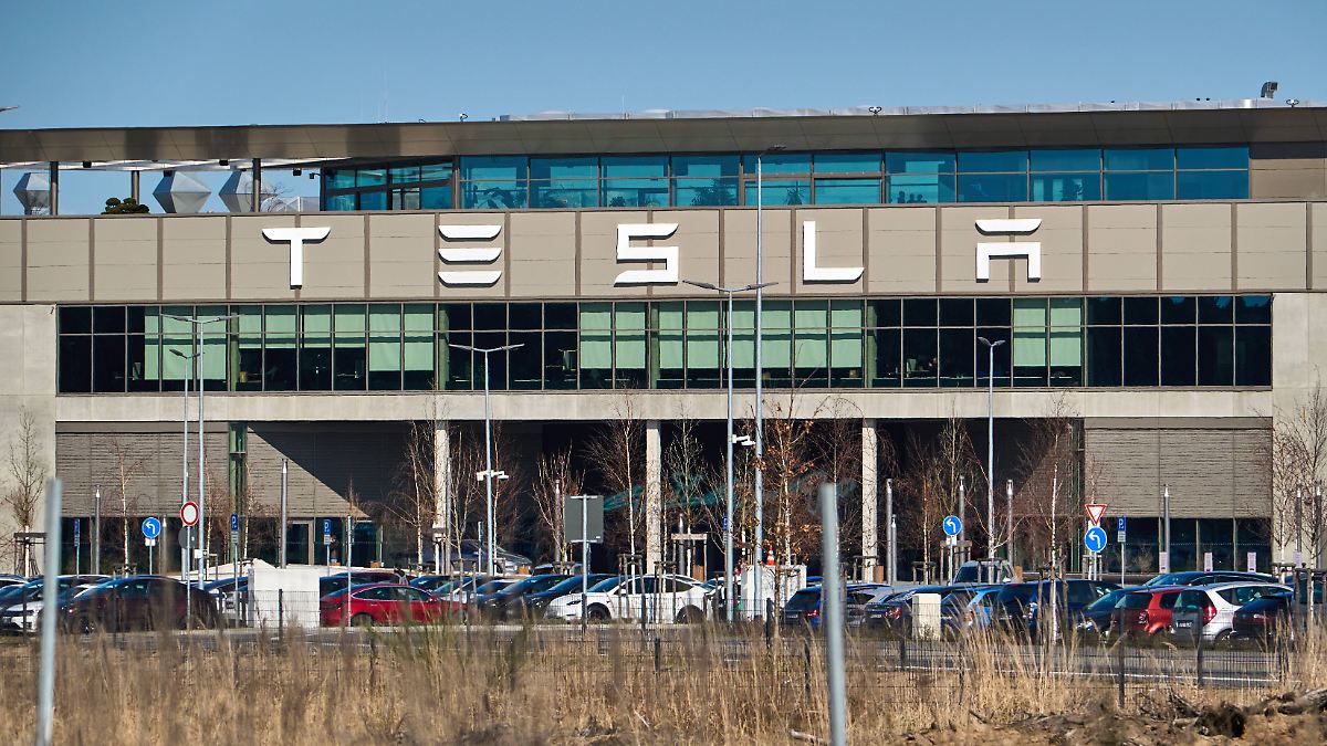 Pieper: "Extrem schwach": Tesla-Zahlen für Europa brechen "erdrutschartig" ein