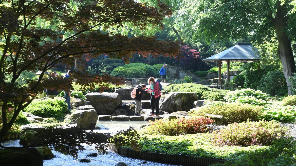 Botanischer Garten Augsburg schlägt Münchner Hofgarten