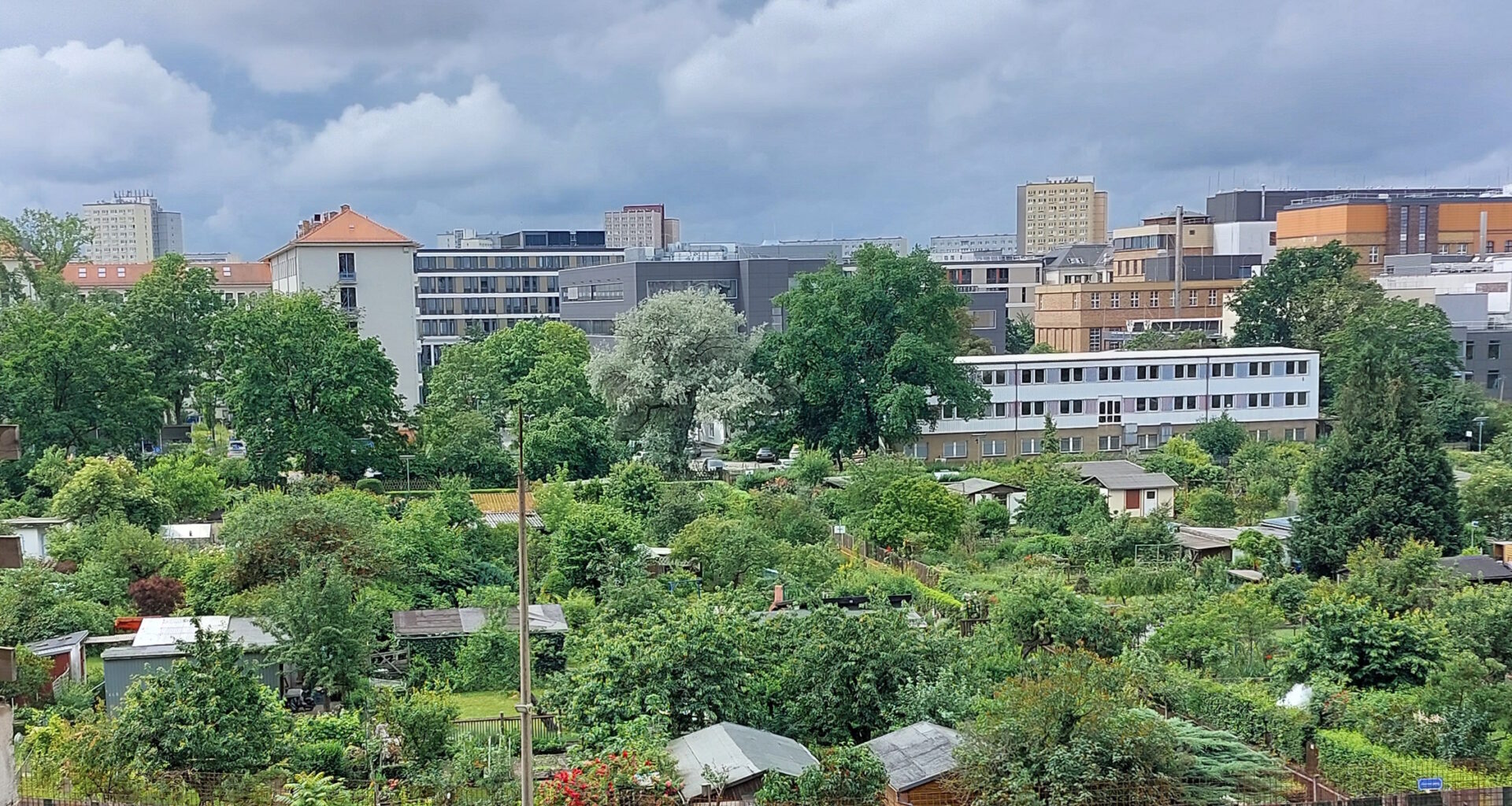 KGV Johannistal startet Spendenaufruf · Leipziger Zeitung