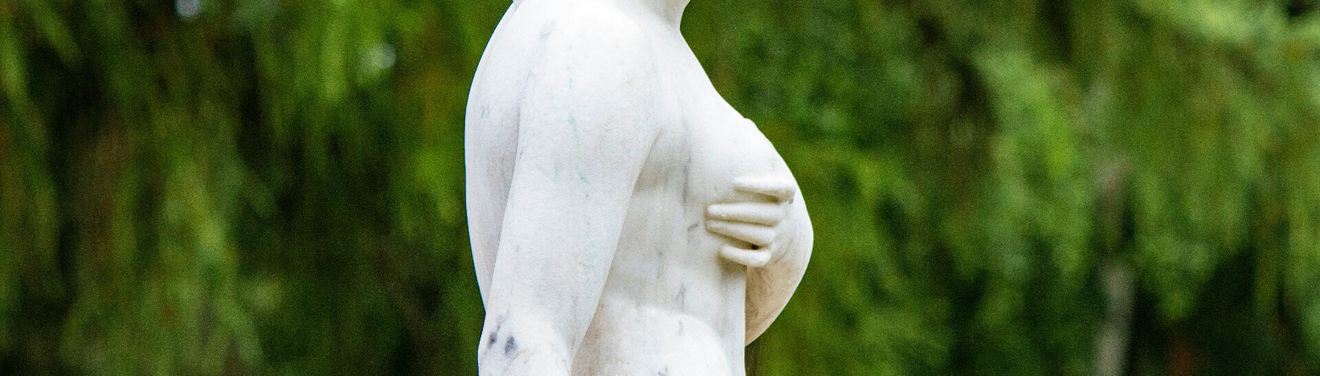 Mammographie: Wenn die Brust dicht macht