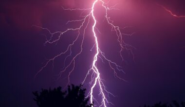 Der Ideenwettbewerb bietet kreative Ideen für den Klimaschutz und fördert das Engagement von Schulen und Kitas