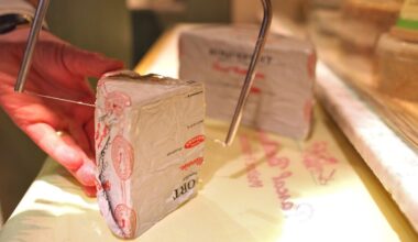 Listeriose-Ausbruch in Frankreich – wegen Weichkäse?