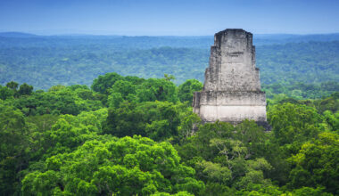 Maya-Ruine im Regenwald