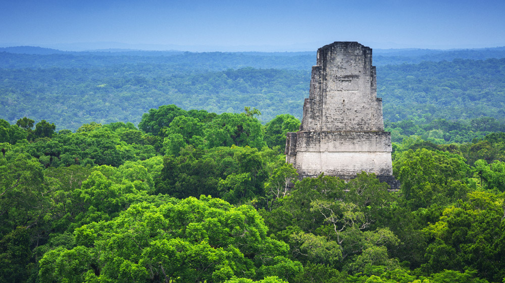 Maya-Ruine im Regenwald