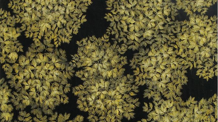 Kunst im Kreis Esslingen: Seltene Kunst aus Samen, Blätter und Blüten