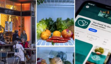 Foodsharing-Ideen: Wie sich in Stuttgart Lebensmittel retten lassen