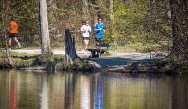Gefahr an Stuttgarter Seen: Vorsicht Blaualgen: Nun ist auch der Bärensee in Stuttgart betroffen