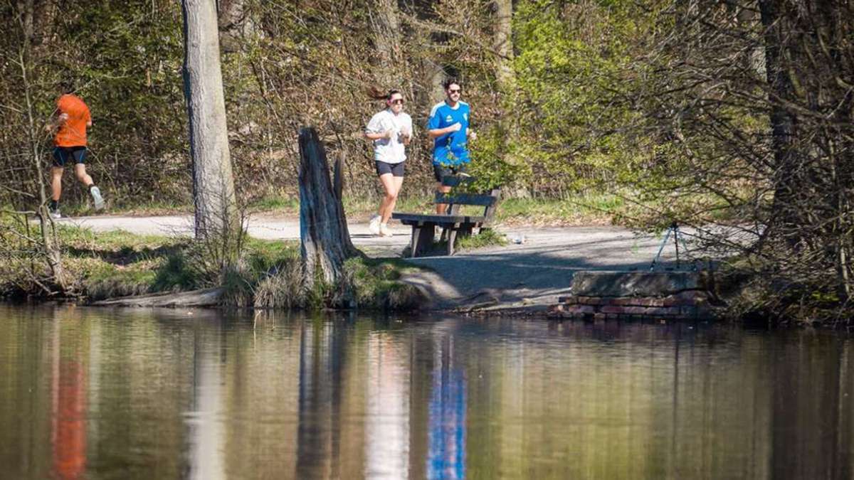 Gefahr an Stuttgarter Seen: Vorsicht Blaualgen: Nun ist auch der Bärensee in Stuttgart betroffen