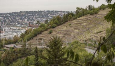 Auf Bundesstraße in Stuttgart: „Gefährliche Aktion“ – Skater rast Neue Weinsteige hinunter