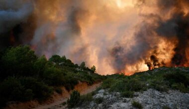 Hitzewelle in Europa: Zwei Tote bei Waldbränden