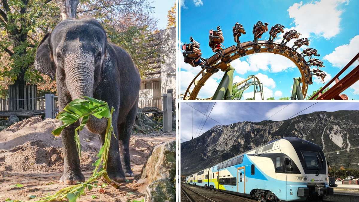 Region Stuttgart: Mit dem Landesfamilienpass bei Ausflügen richtig Geld sparen