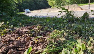 Verkehrschaos in Botnang: Erneut Wasserrohrbruch am Botnanger Sattel