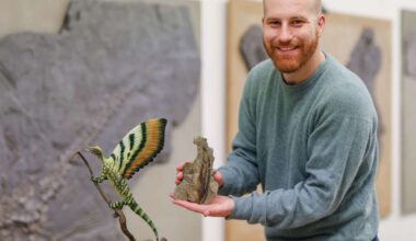 Wundersaurier aus Stuttgart: 247 Millionen Jahre altes Fossil aus dem Elsass stellt Evolution auf den Kopf