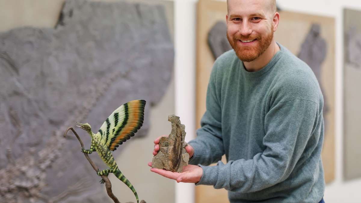 Wundersaurier aus Stuttgart: 247 Millionen Jahre altes Fossil aus dem Elsass stellt Evolution auf den Kopf