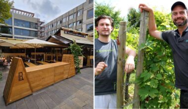 Weindorf in Stuttgart: Die „Laube des Jahres 2024“ aus dem Remstal ist dieses Jahr noch schöner - KRZ Plus