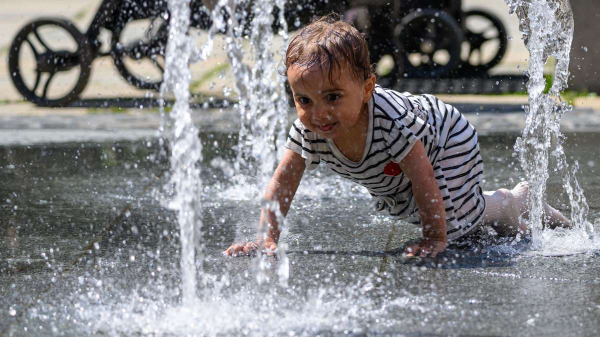 Hitzewelle in Stuttgart: Wie gut schützt die Stadt Kinder vor Hitze? - KRZ Plus