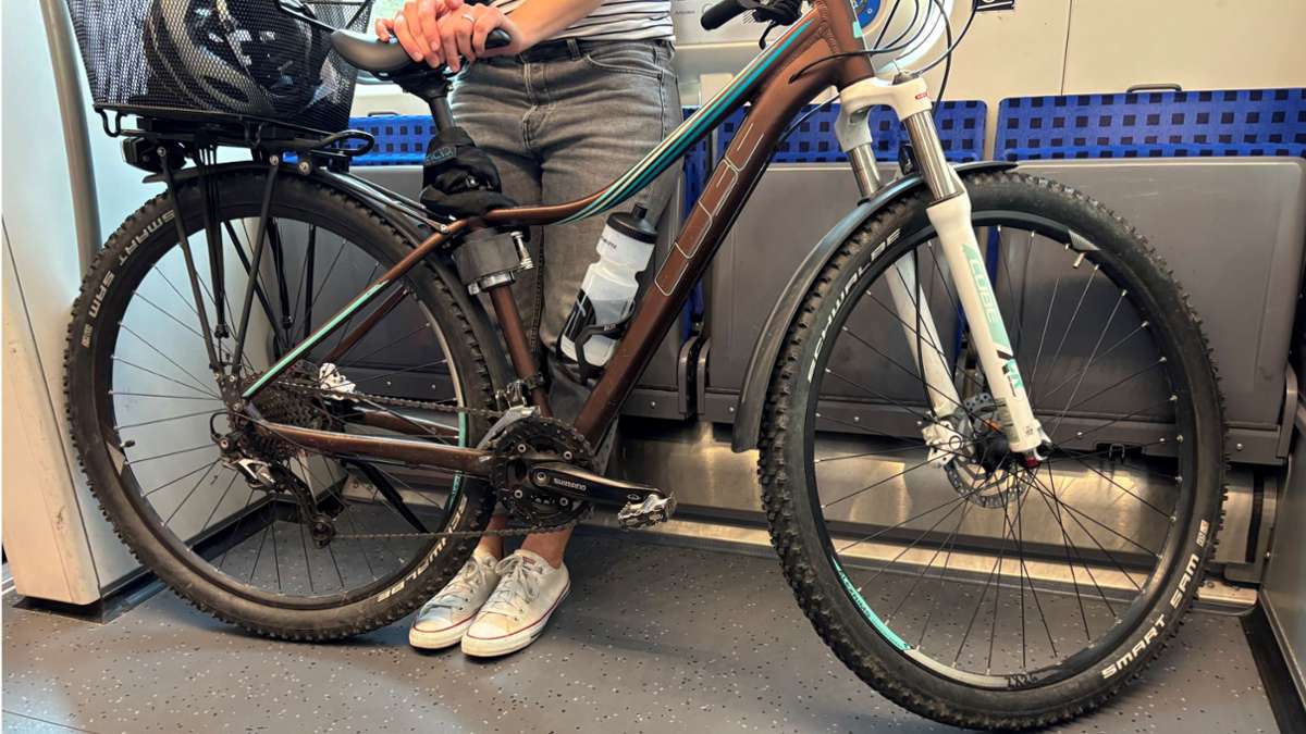 Konflikte im Bahnverkehr: Fahrrad oder Fahrgast – Wer hat Vorrang?