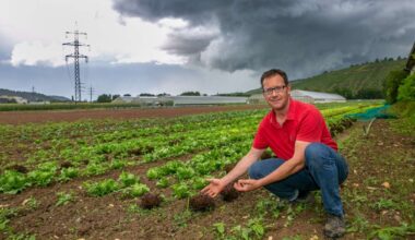 Wetter im Kreis Esslingen: Anhaltender Regen: Das Gemüse freut’s, die Braugerste ist in Gefahr