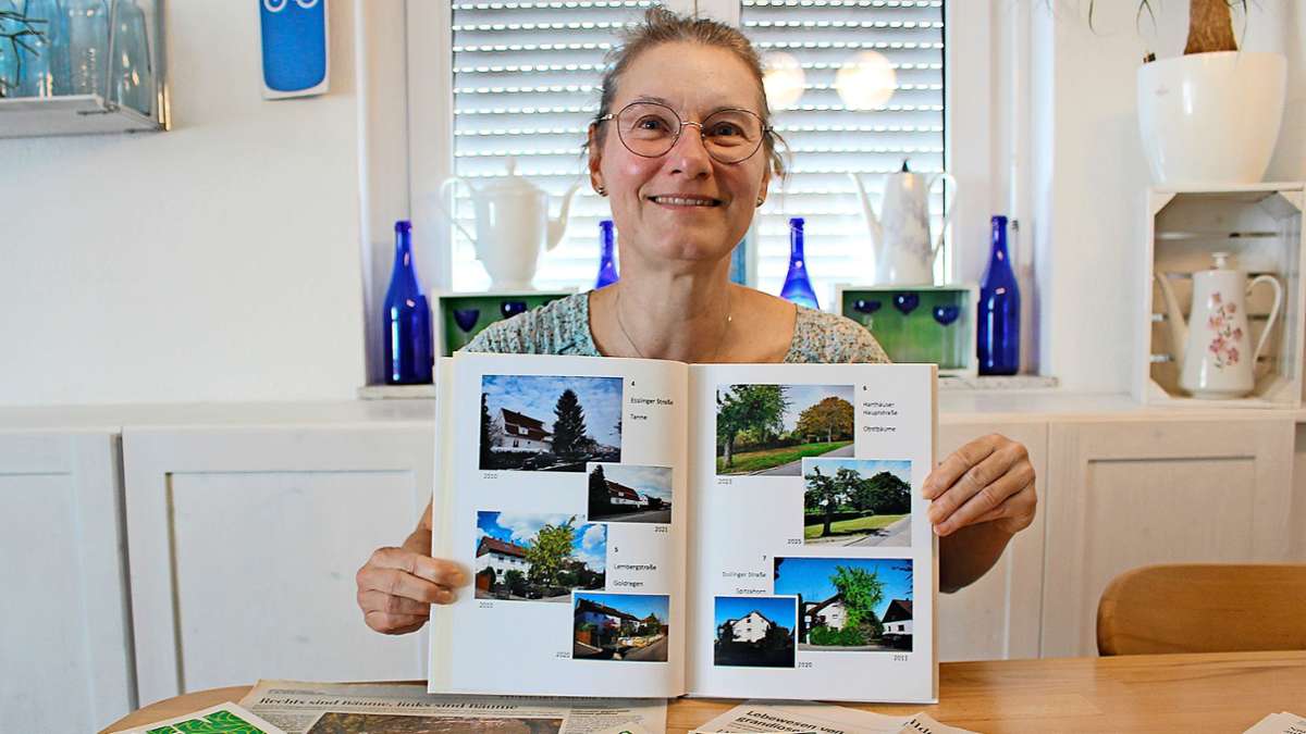 Bäume in Filderstadt: Diese Frau weiß, wie viele Bäume gefällt wurden - Kreis