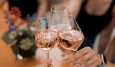 Traditionsfest in Stuttgart: Frischer Wind beim Weindorf – wer sind die neuen Wirte? - Stuttgart