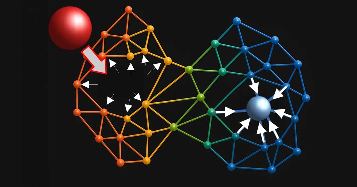 Mechanismus für die Ausbreitung von Signalen über Moleküle hinweg entdeckt • pro-physik.de
