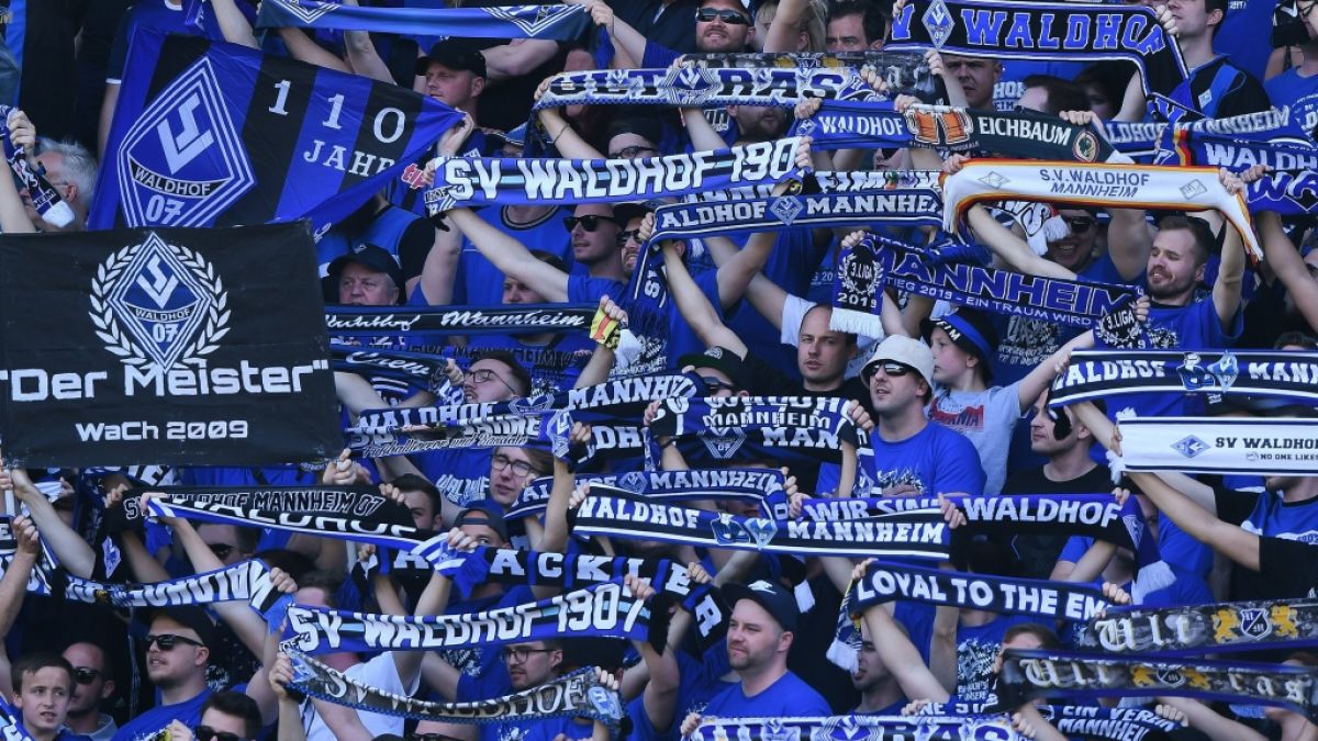 SV Waldhof Mannheim - Viktoria Köln im Live-Stream und TV: Mammutaufgabe am 3. Spieltag für Waldhof gegen die Kölner Viktoria