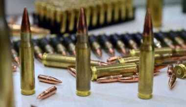 Waffenpanne in Sachsen-Anhalt: Unbekannte Person bringt Polizei verlorene Munition