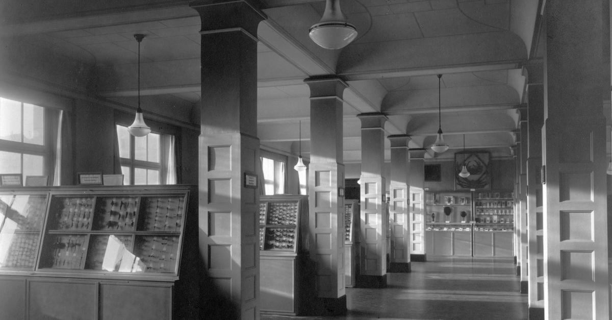 Als das Wiesbadener Museum von Amerikanern eingenommen war
