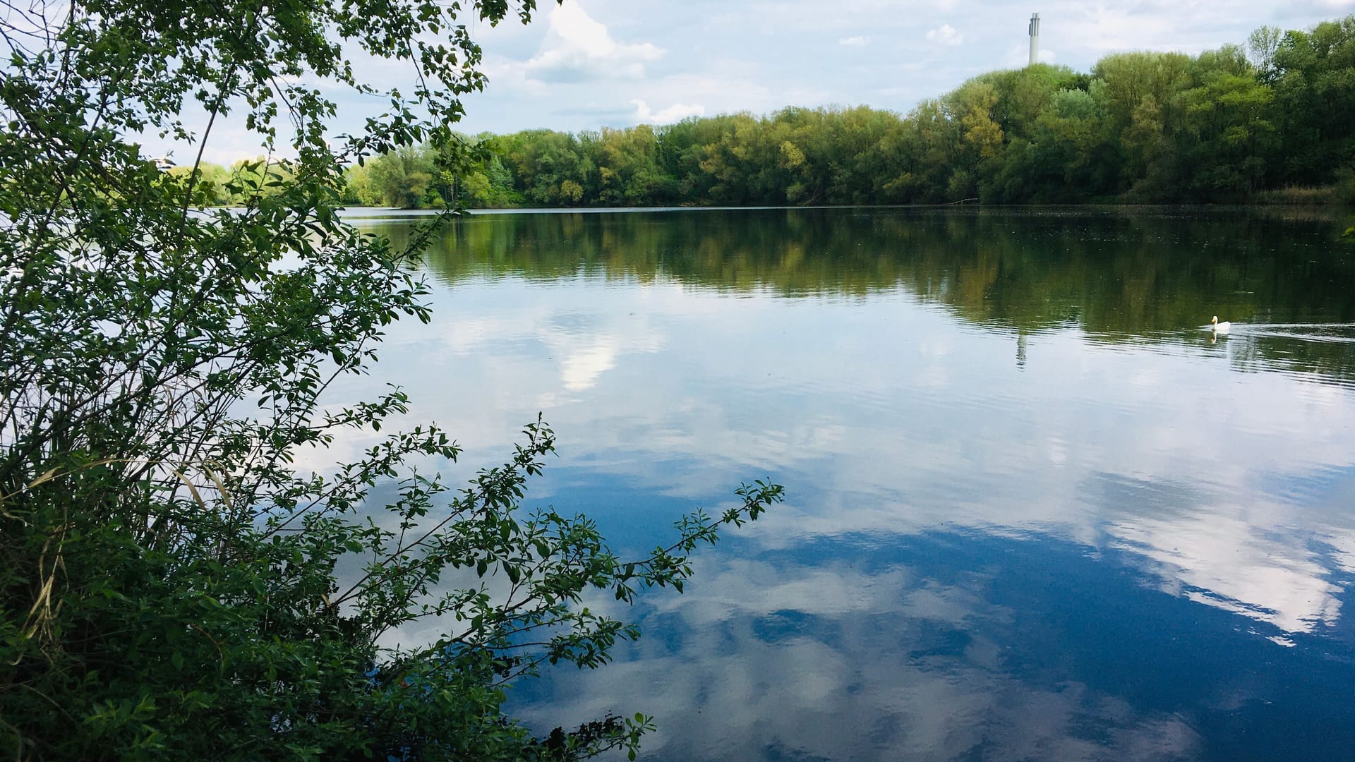 Der Ölper See: In diesem Braunschweiger See darf nicht gebadet werden.
