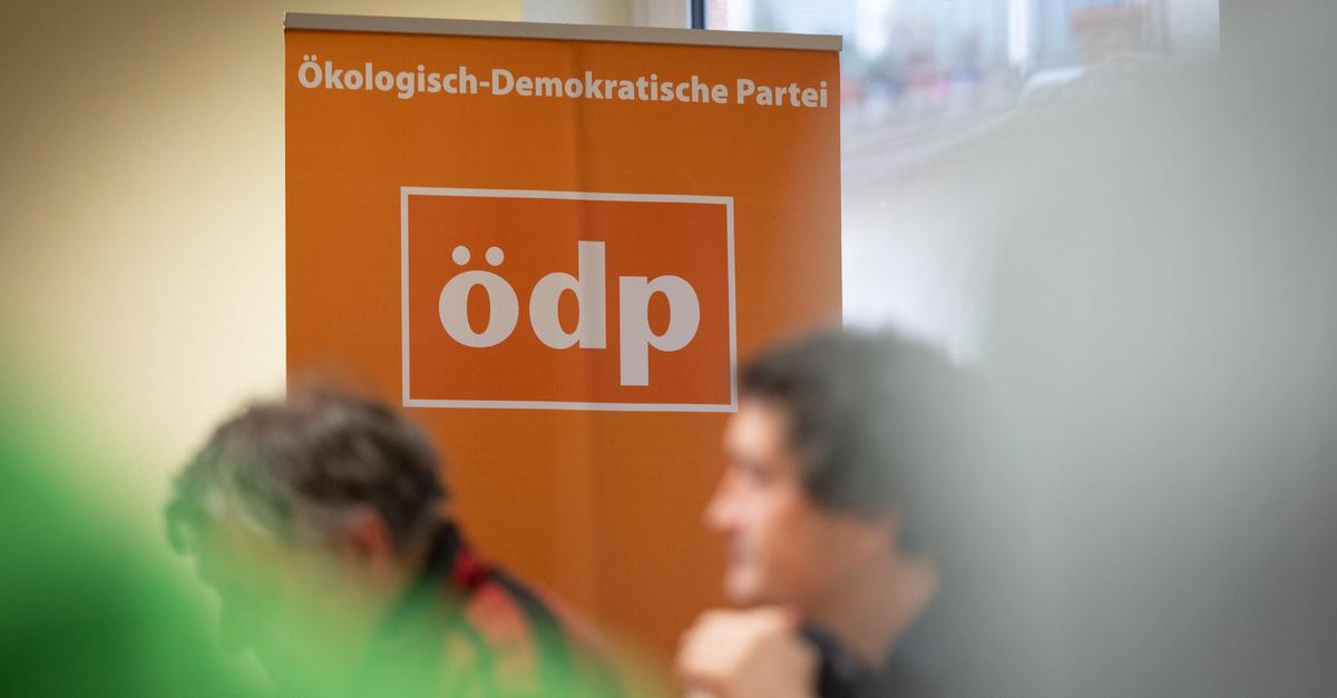 Mainzer ÖDP stellt Kandidaten für Landtagswahl auf